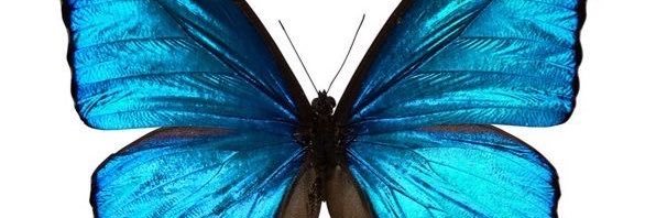 _heycristel's profile banner image