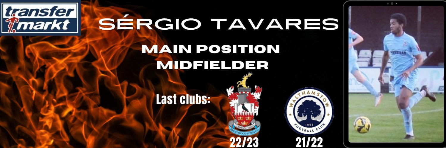Sergio Tavares banner