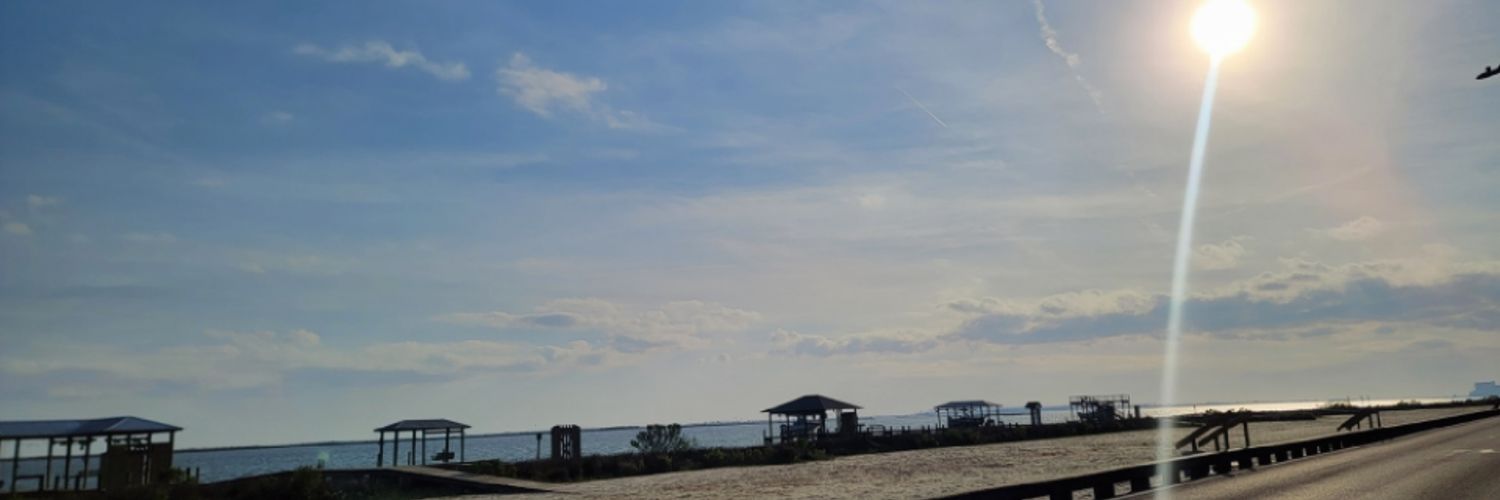 alweaverii's profile banner image
