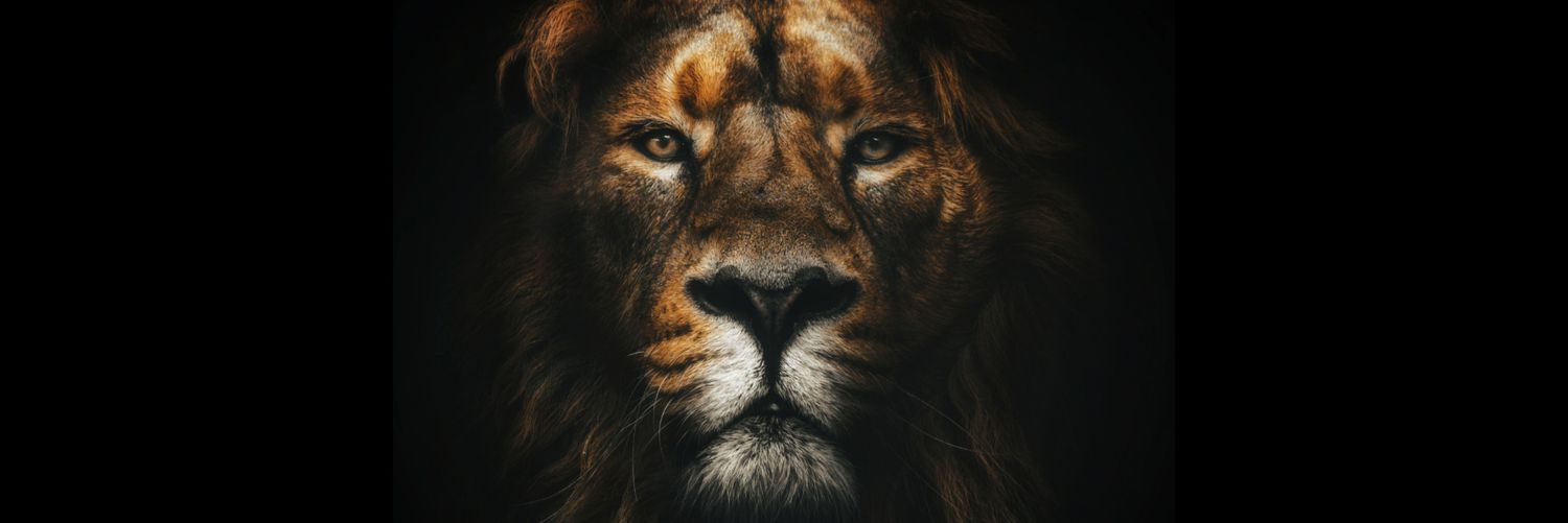 sandyzx666's profile banner image