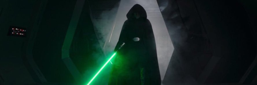 June Bug Spade banner