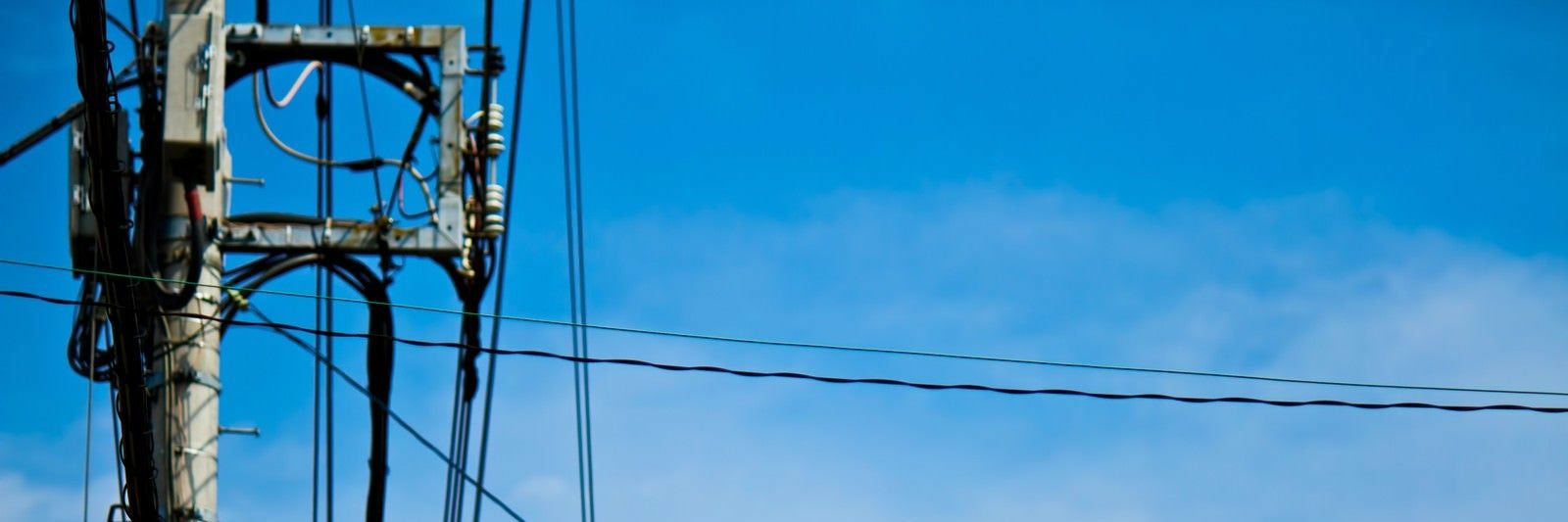 青木 葎 banner