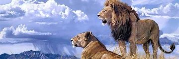 ابوعبدالله banner