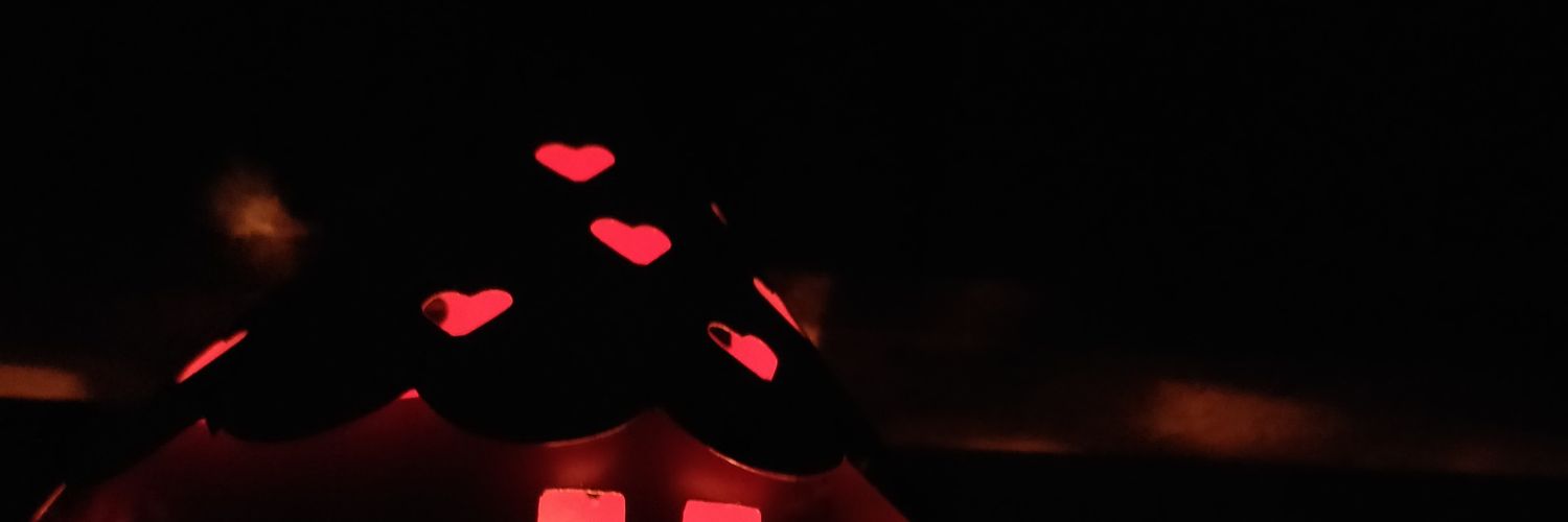 solerunner's profile banner image