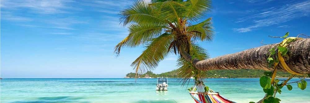 AIGLON MUTOMBO banner