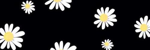 Stephanie_Vivas's profile banner image