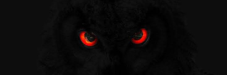 Zanterhati's profile banner image