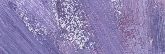 salsa bechamel banner