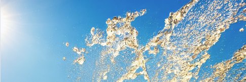SplashCashX.algo 💦's banner