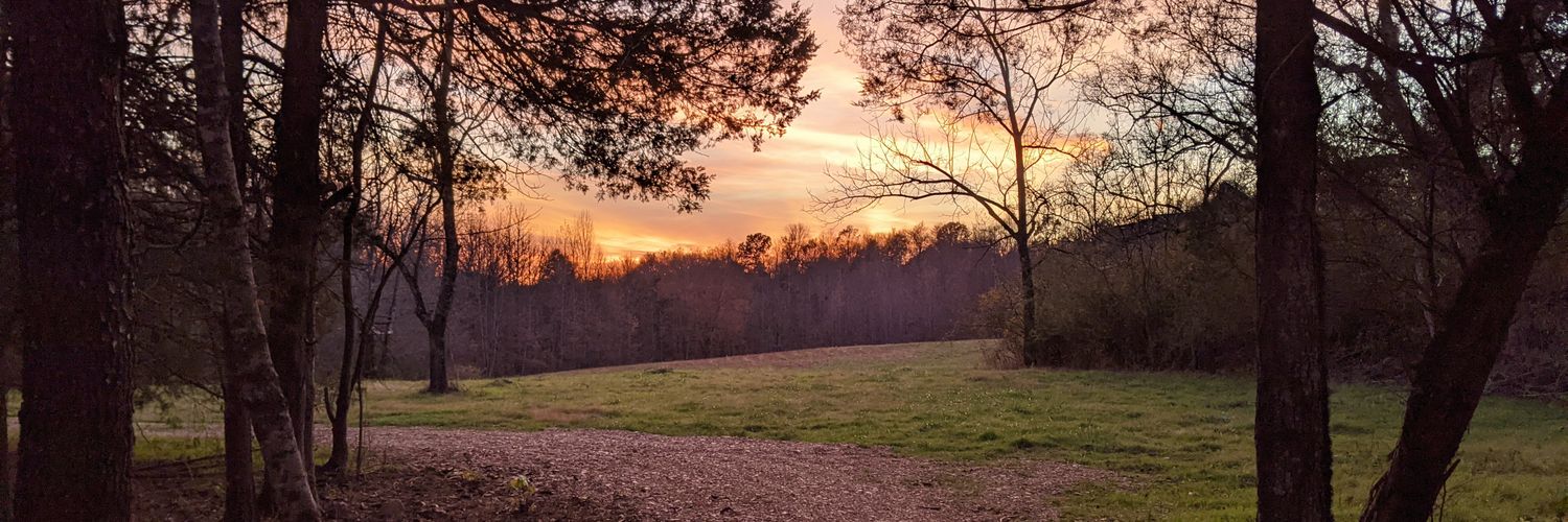 rschapman's profile banner image