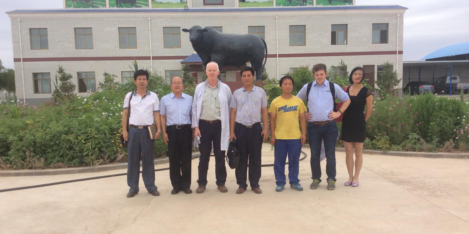 Gerry Giggins banner