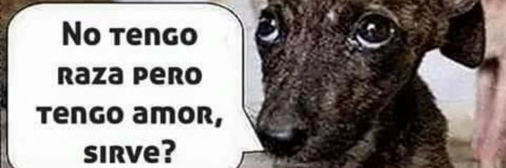alberto160754's profile banner image