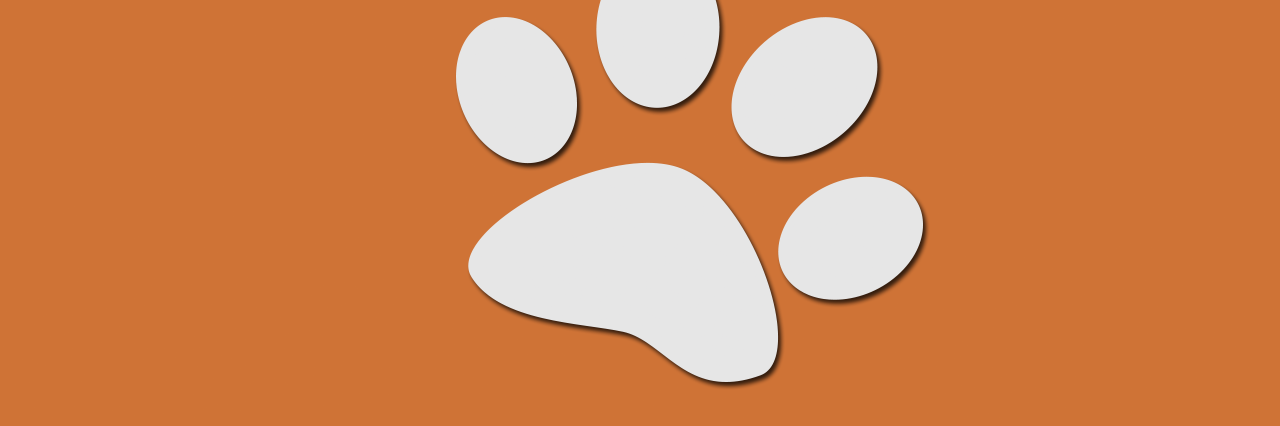DaveFurryWLF's profile banner image