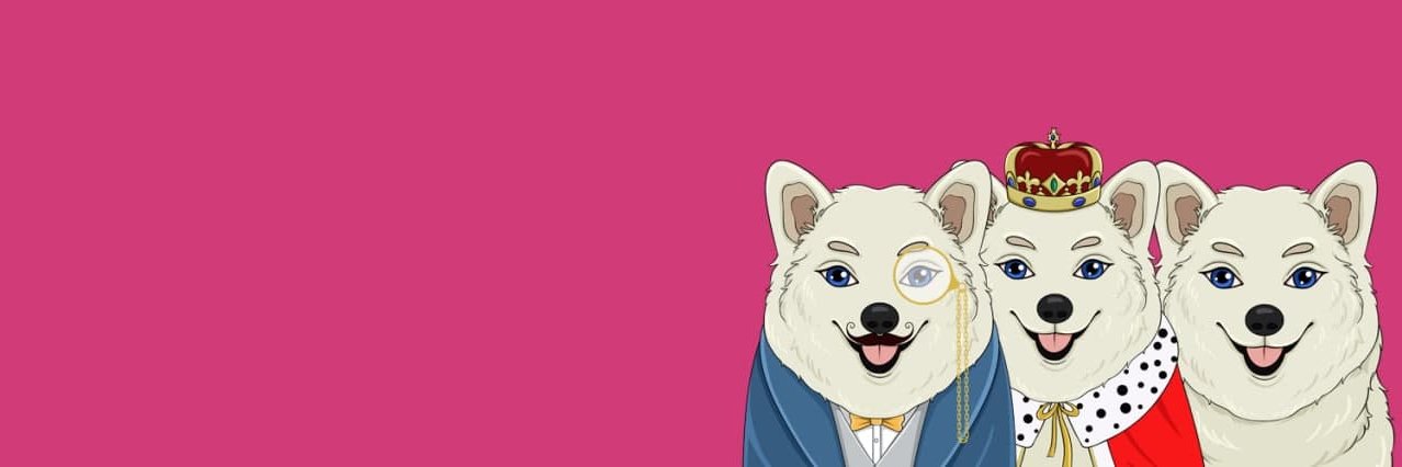 EternalKishu's profile banner image