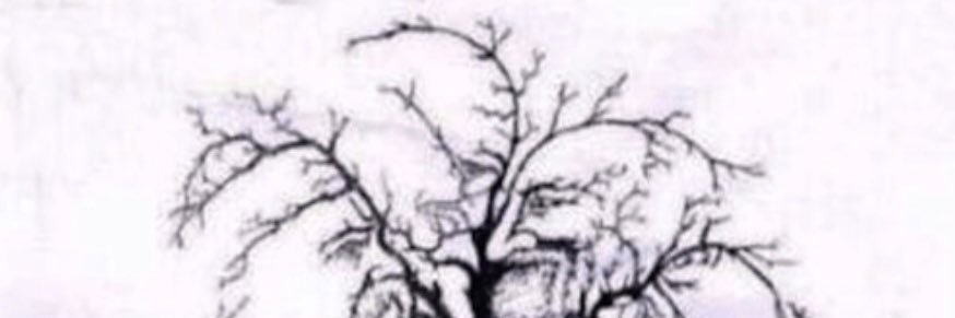 RYOO82312387's profile banner image