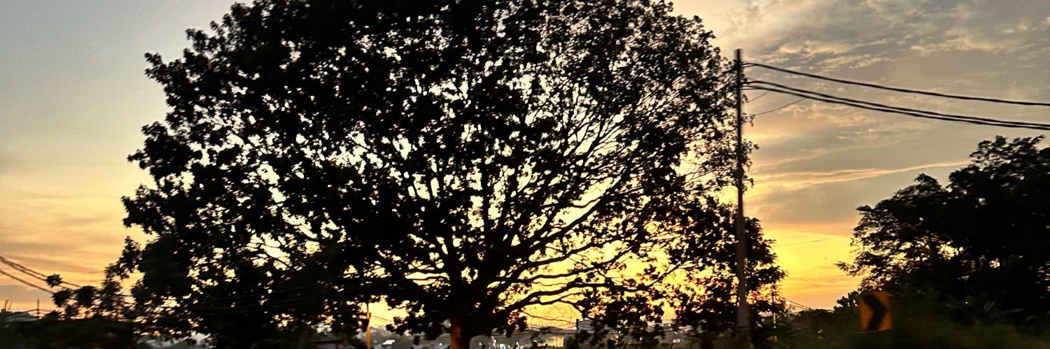 nrlrzh's profile banner image