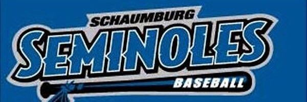 Schaumburg Seminoles's banner