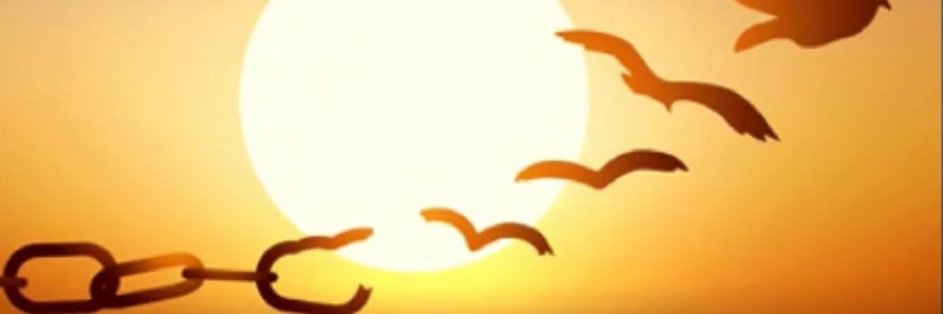 🇺🇦 ⚪🔴⚪Я свободен, словно ветер в небесах banner