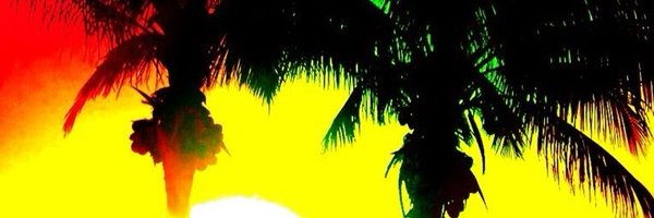 _Rg3_ Profile Banner