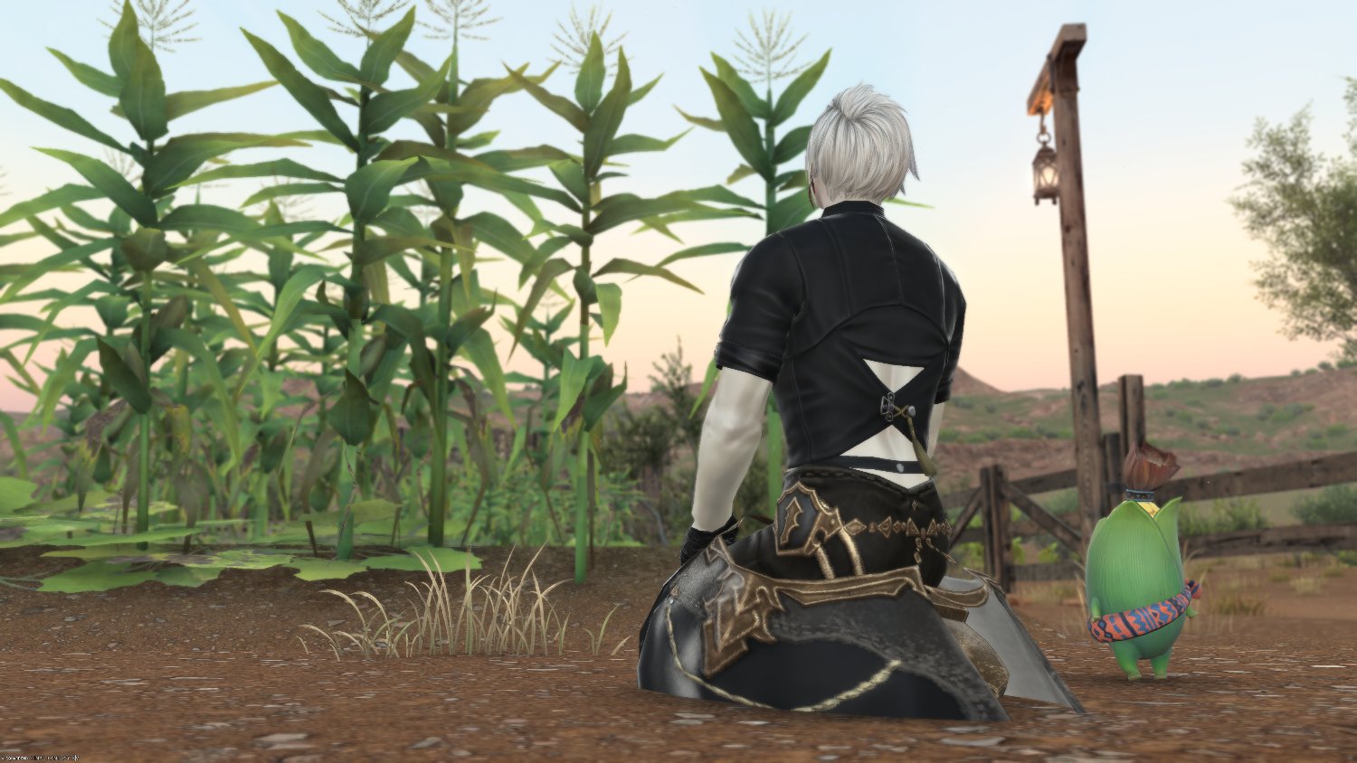 isstariff14's profile banner image