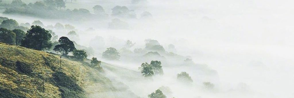 OnceFadeAway234's profile banner image