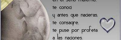 blancacalisto's profile banner image