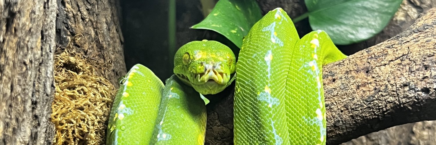 Kit X🤞😭🤞 banner