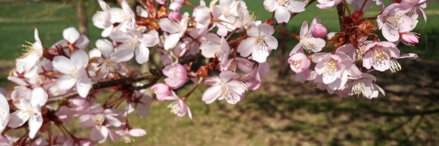 Jeremy Parsons banner