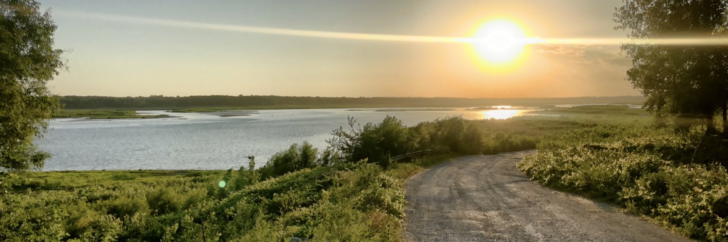 David Runneals banner