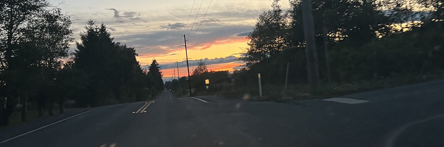 EkkoWolfo's profile banner image