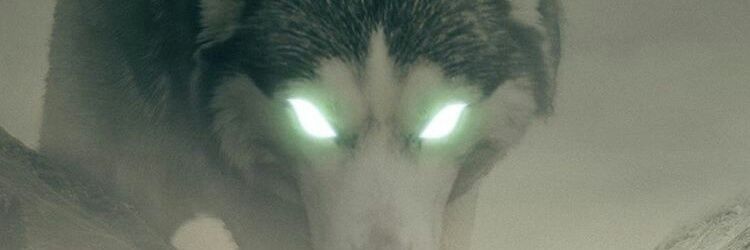 TimeElia's profile banner image
