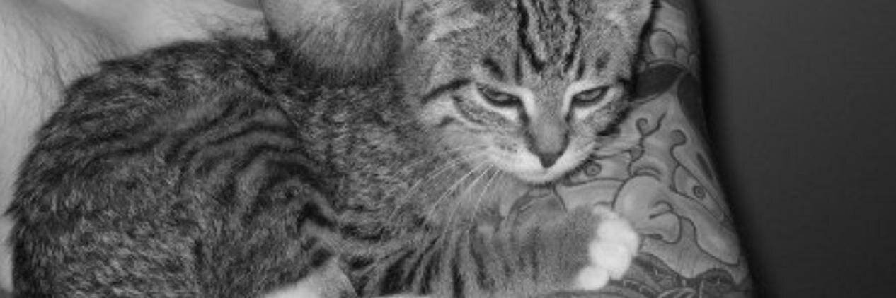 nosiaj's profile banner image