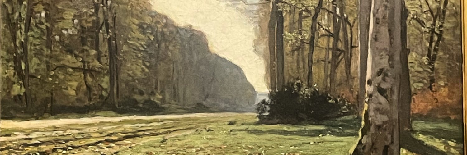 gracechaplin's profile banner image