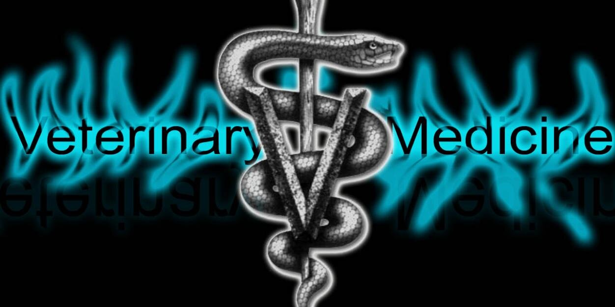 JSumeldan's profile banner image