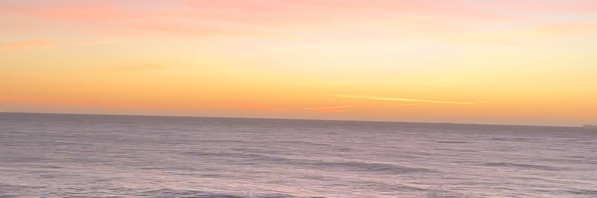 sofiasbaptista1's profile banner image