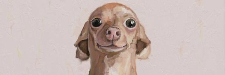 Maaruz's profile banner image