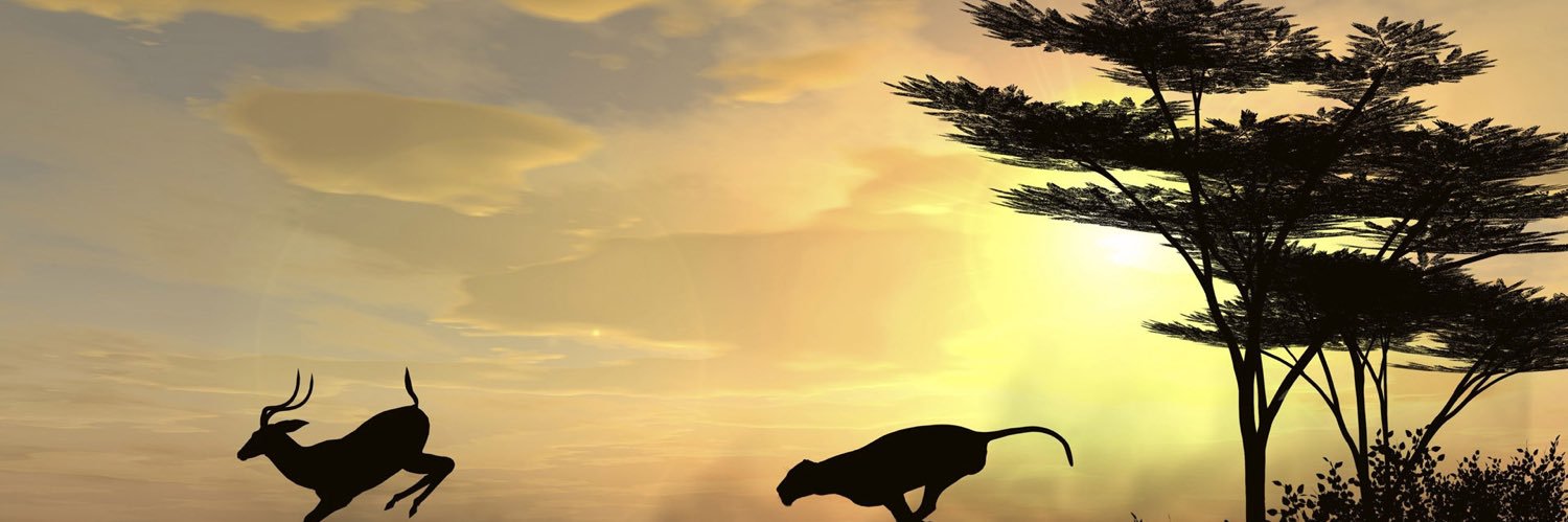 MercyForAnimal's profile banner image