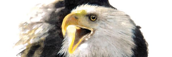 TommyGSR's profile banner image