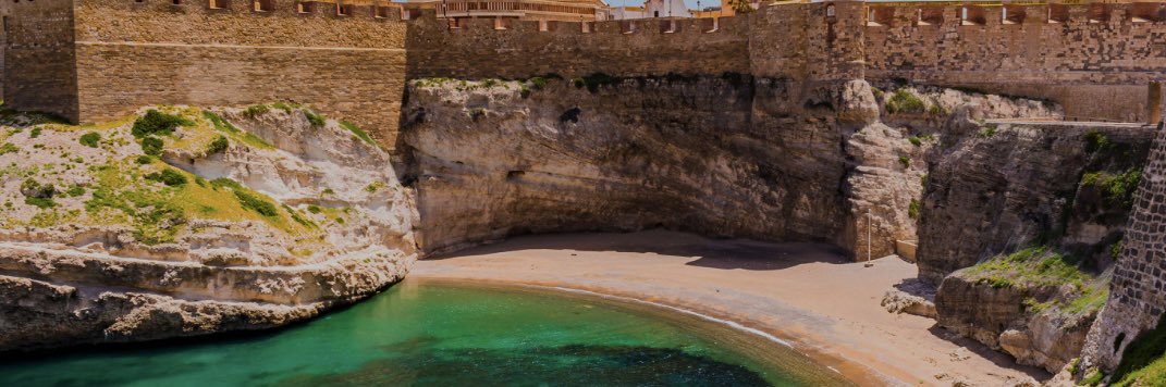 Fadela Mohatar banner