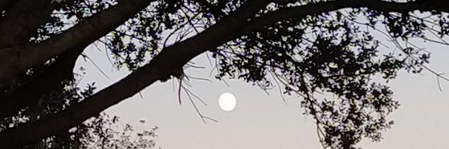 jrarias's profile banner image