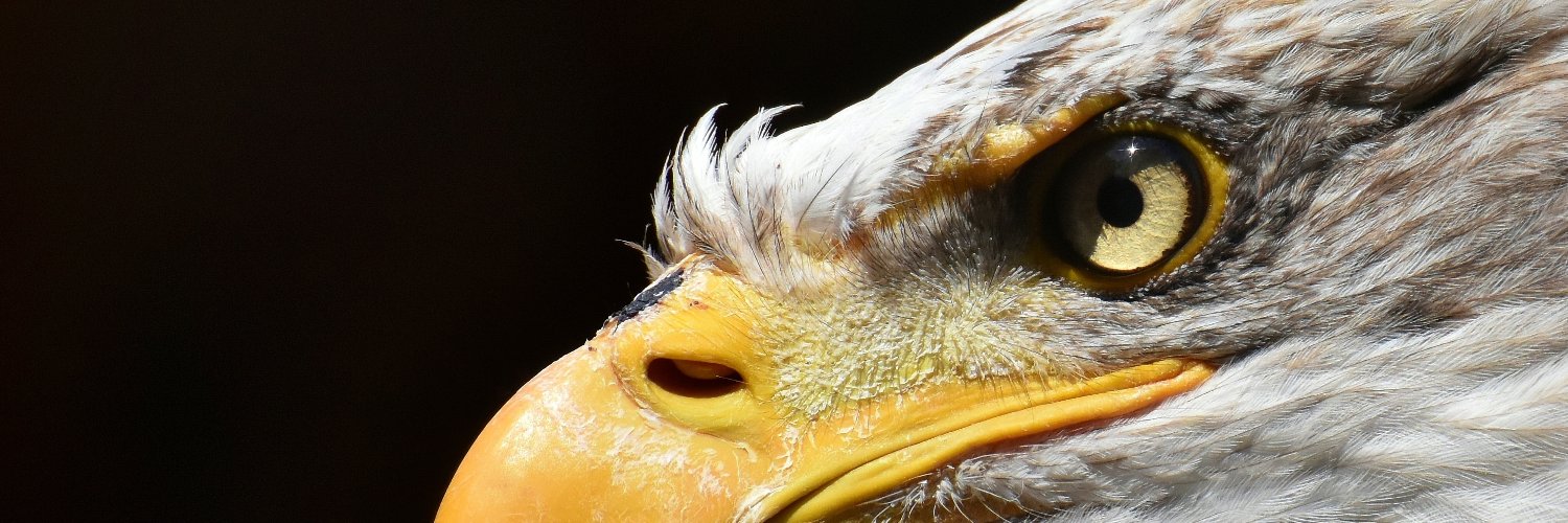 JorgeHTorresA's profile banner image