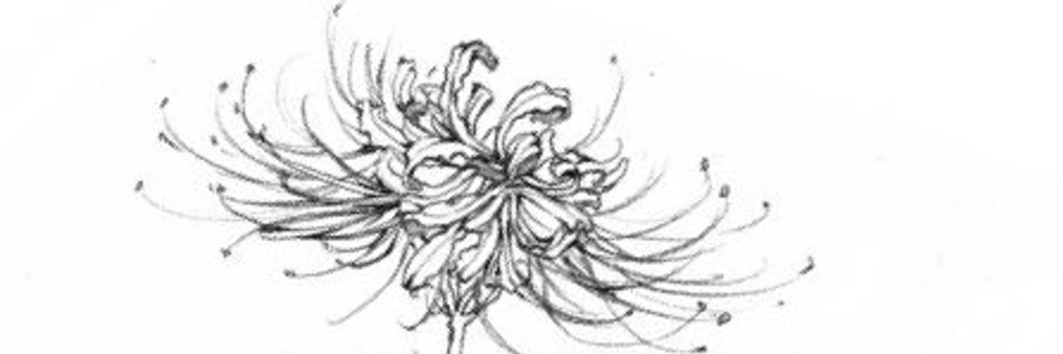 𝔸𝕦𝕣𝕖𝕒 banner