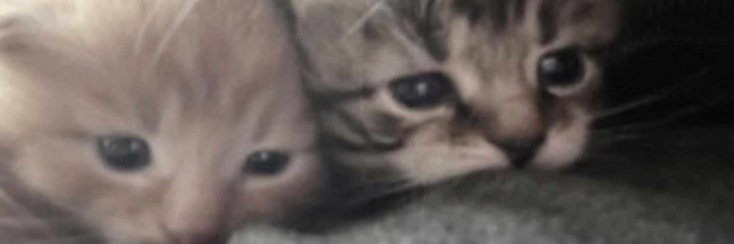 efourovo_8's profile banner image