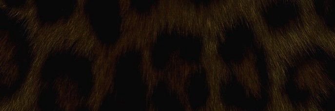 viituzz's profile banner image