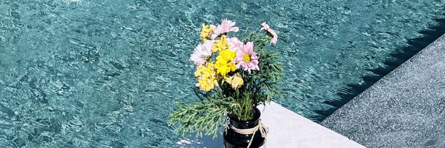 𝚋𝚕𝚞𝚎𝚓𝚊𝚢. banner