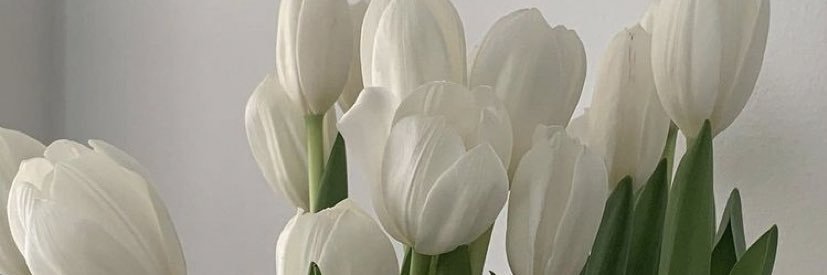 gracebrink11's profile banner image