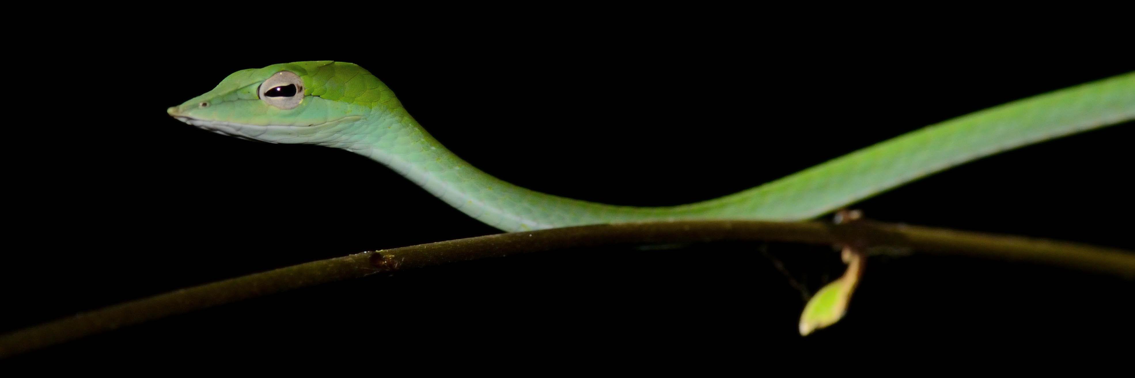bhaskar trivedi banner