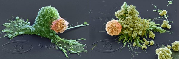 Salihlab Profile Banner