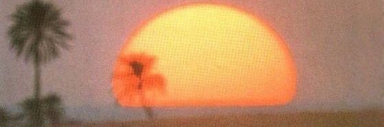 nevy banner