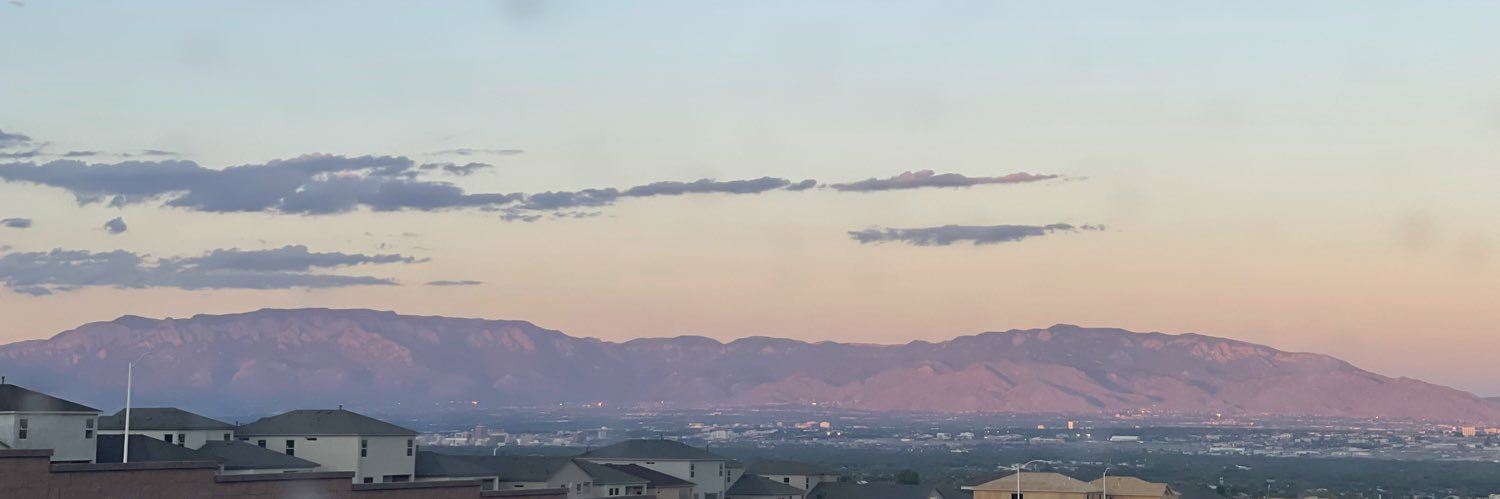 BoReguard's profile banner image